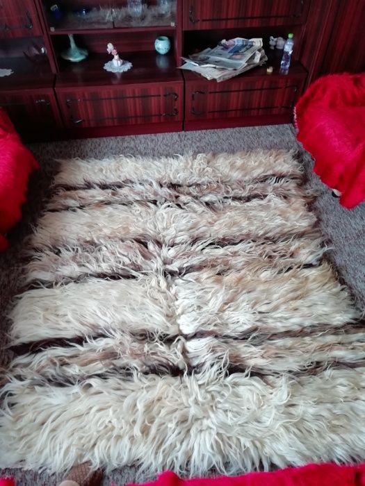 Китеници /губери/