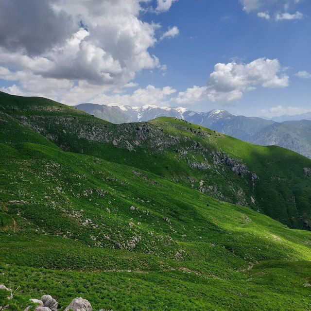 Чорбог су́в омбори  атрофида дача ЕРЛАР сотилади 1 сотихи