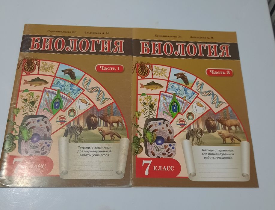 Рабочие тетради для школьников