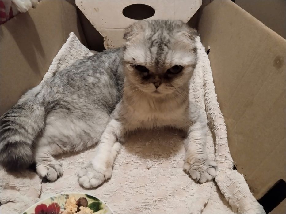 Девочка 7 месяцев