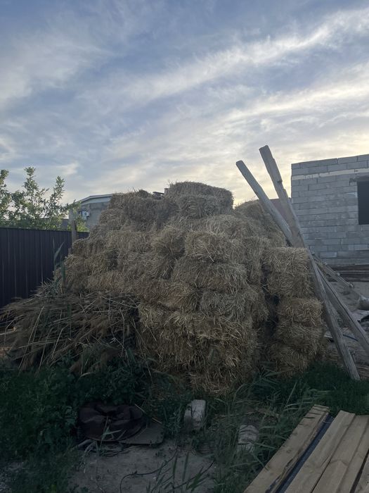Сабан пресс 150 шт