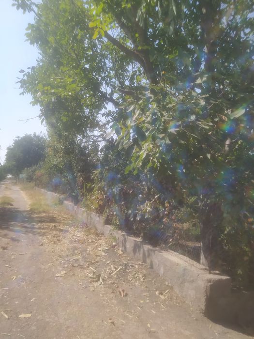 Дача сотилади юкори Чирчик корсой томонда