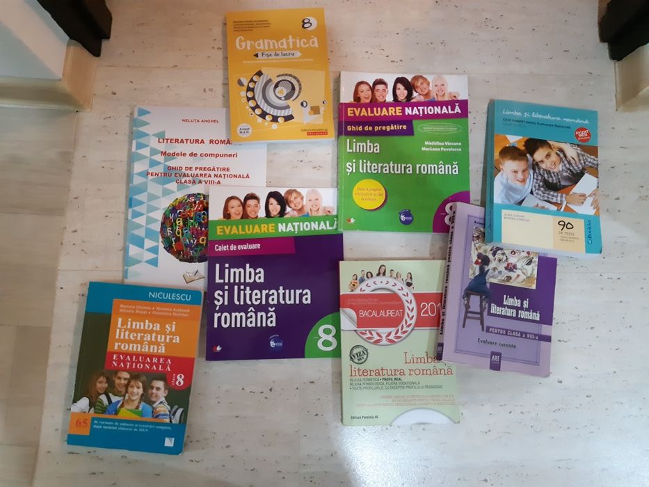 Meditații Limba Română