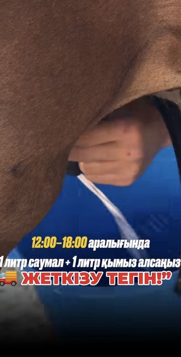 САУМАЛ көзбе көз