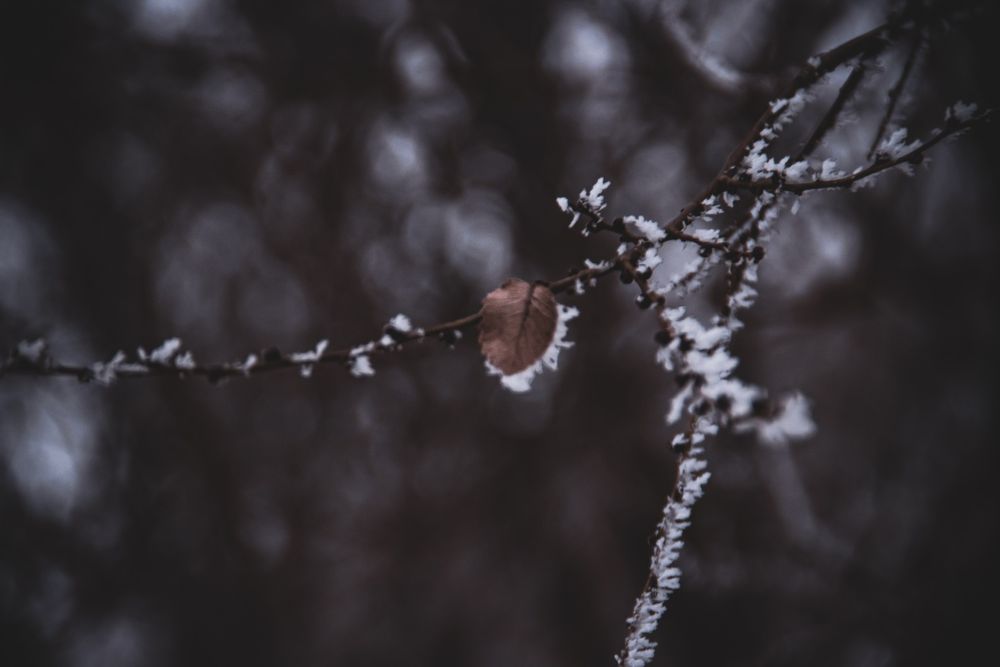 Фотоаппарат Canon 600d