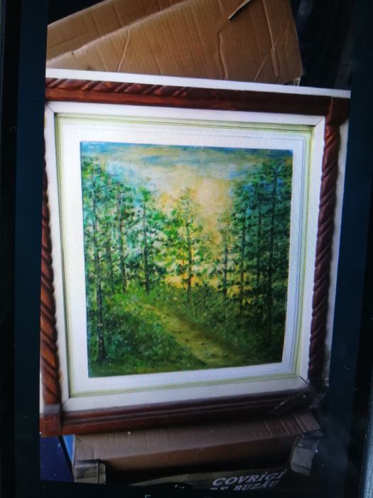 Fier de calcat funcțional