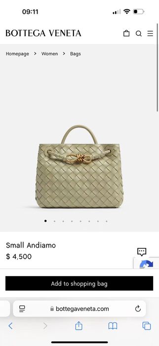 Сумка Bottega Veneta Small Andiamo