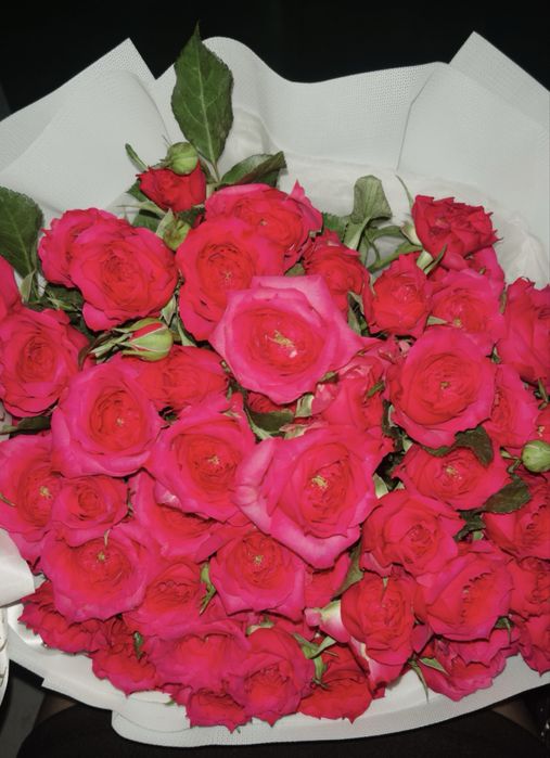 кустовые розыыыыыы