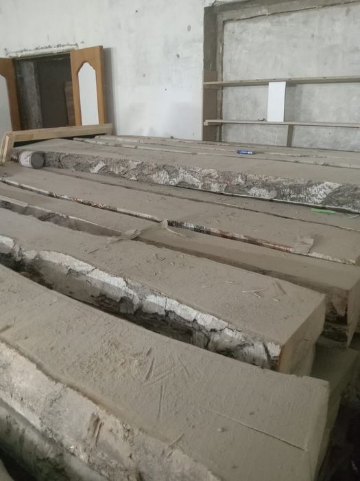 Береза кругляк продам