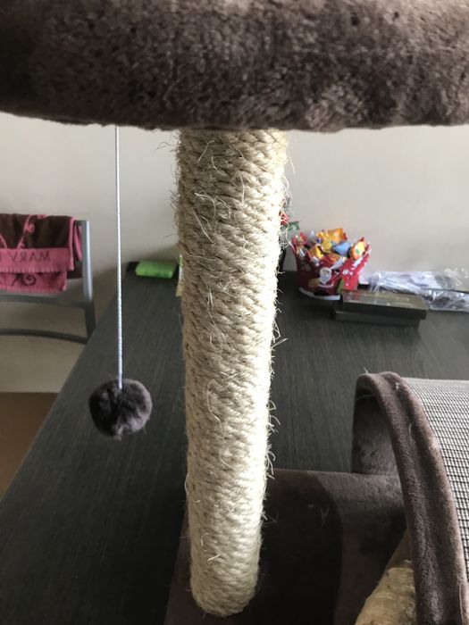 Когтеточка для кошек