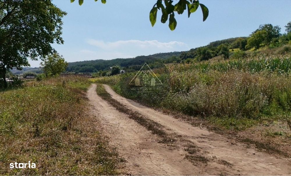 Teren intravilan Medias - de vanzare