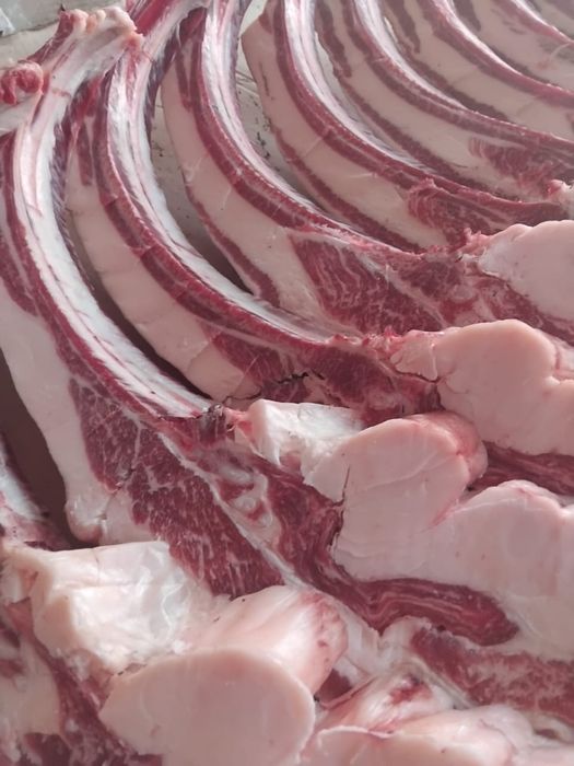 Продам мясо конина по частям