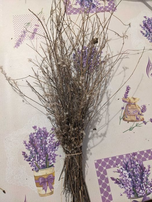 Клонки мъх жълъди шишарки за декоразия