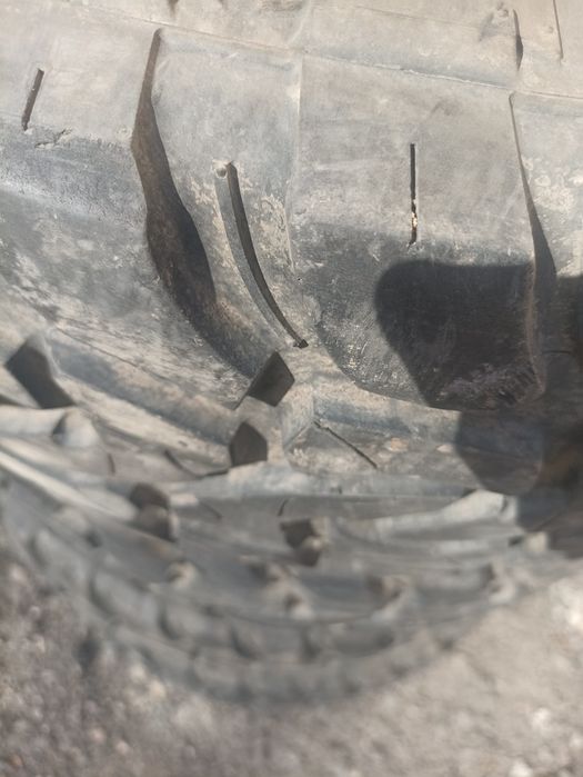 Шины мт летние продам