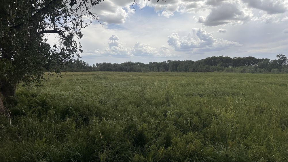 Земля сенокос пашня сено кх