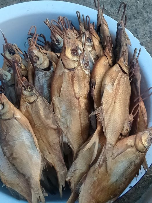 Продам лещ копчёной свежие