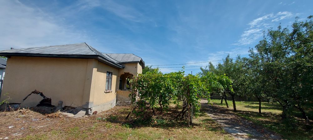 Teren intravilan si casa la tara - Vedere 2