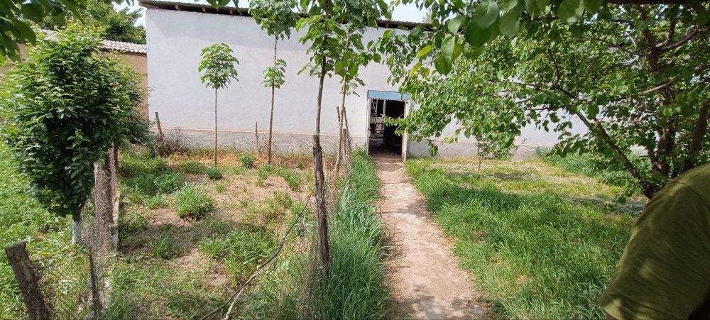 Ferma sotiladi 10 sotik