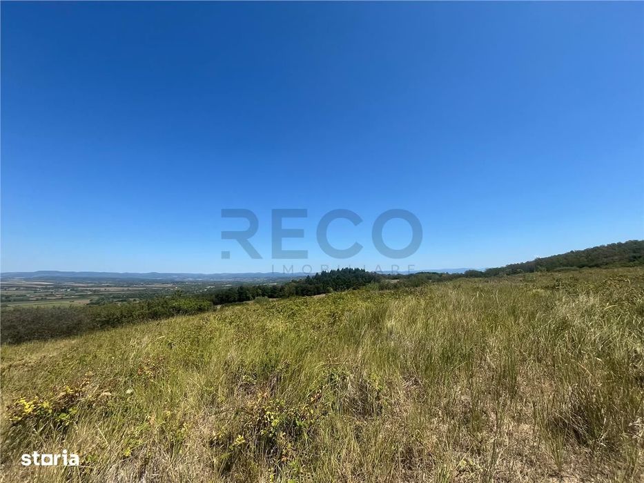 RECO Teren extravilan Holod 27400 mp