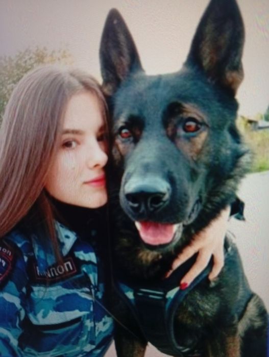 Кинолог, выезд .