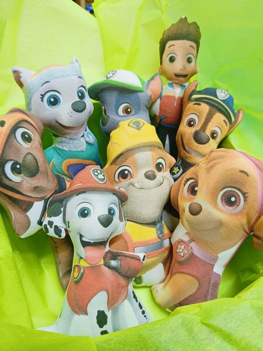 Пес патрул , Кученцата от Пес Патрул , Скай , Райдър , Paw patrol
