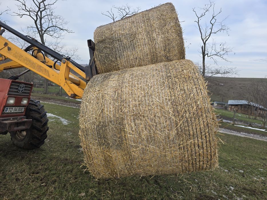 Vând baloți de paie, dimensiune balot 1,20/1,20