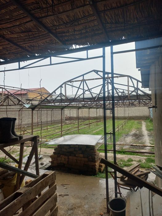 Теплица иссикхона