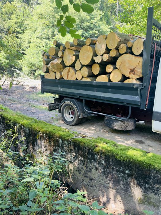 Lemn de foc esenta tare