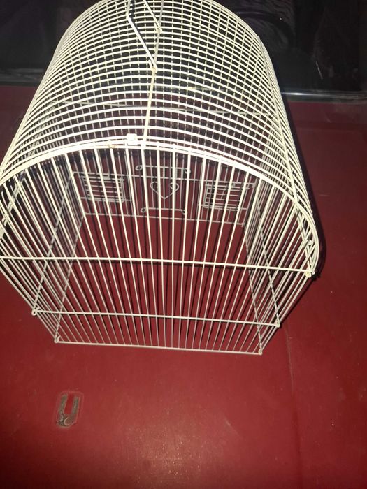 Пподам клетку для