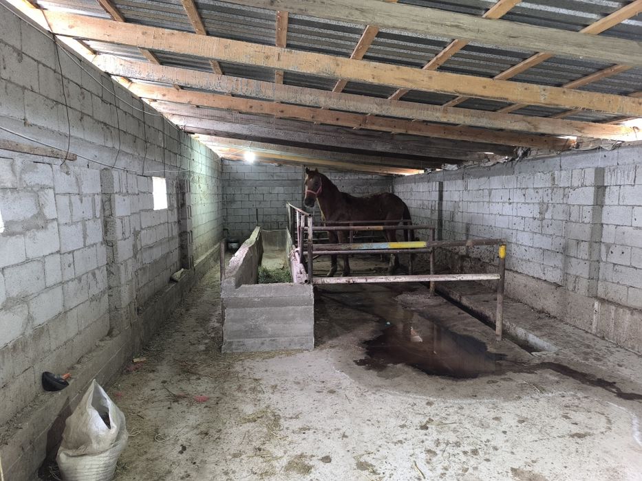 Срочно продается Дача фазенда