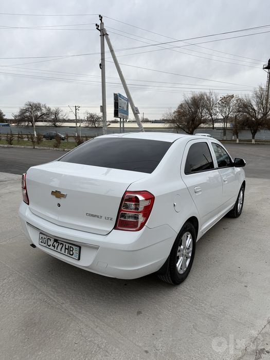 cobalt LTZ 24-25 kuzf