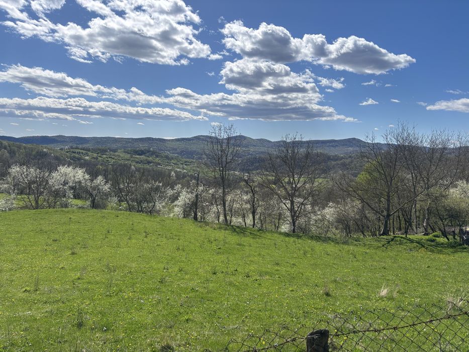 Teren de casa, livada si padure