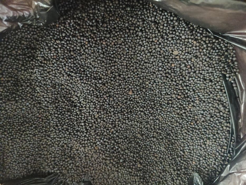 Аквариумға керек жарақтар