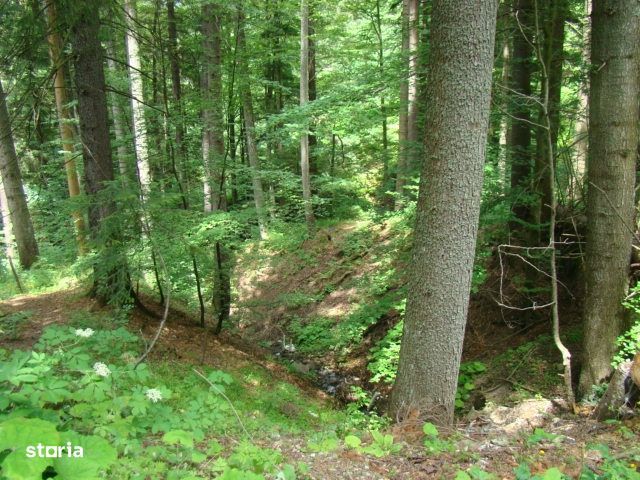 7059 mp de vanzare in Predeal- str. Schiorilor/ Brasov. Comision 0!