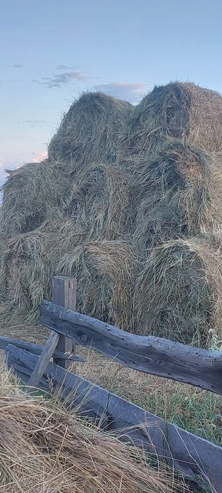 Продам сено в рулонах