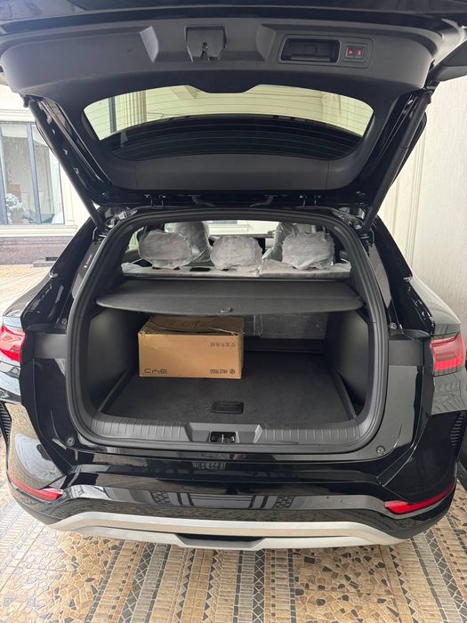 BYD  Chenpiyon 2024,2025 restayling 605.