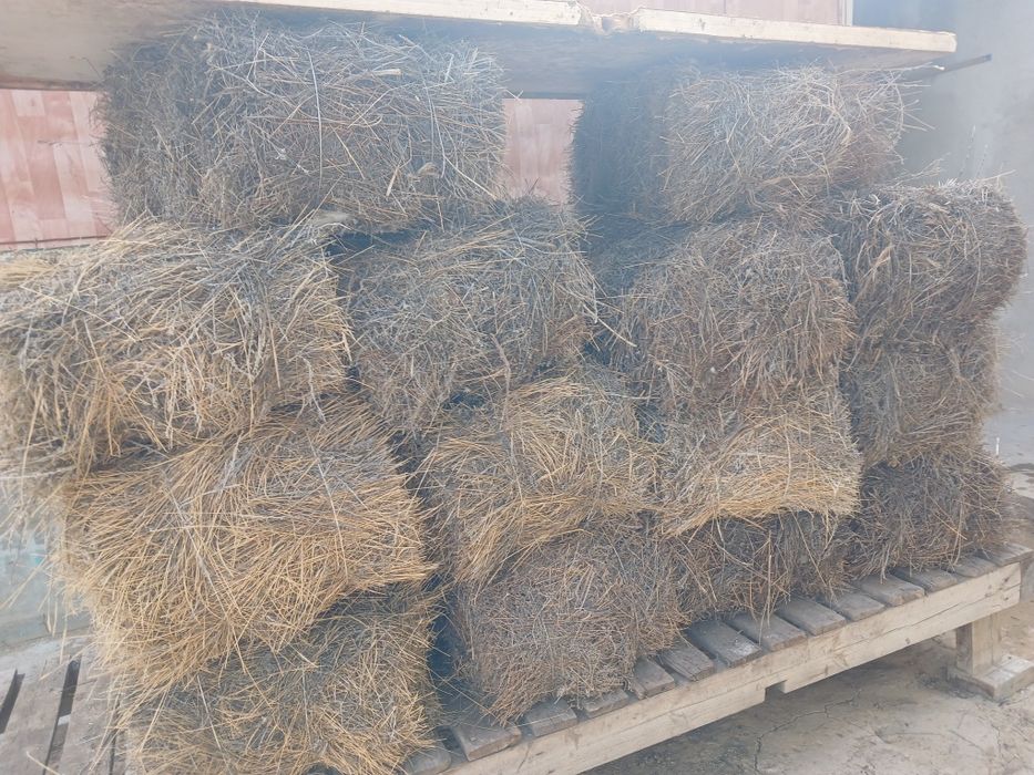 Жусан шоп сатылады