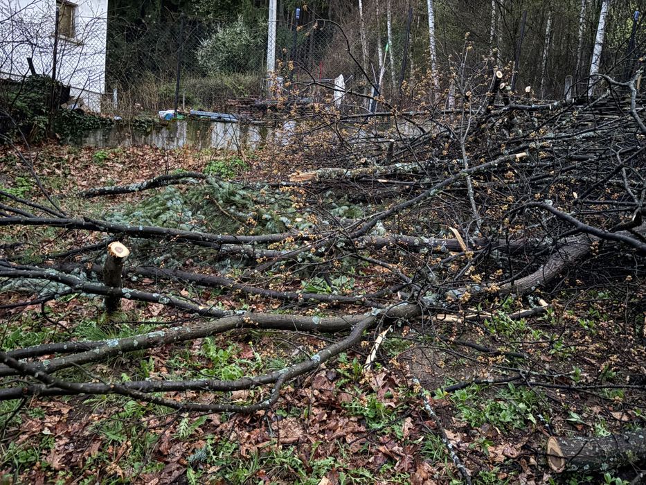 [обещани] Безплатно - дърва за огрев или дърводелство
