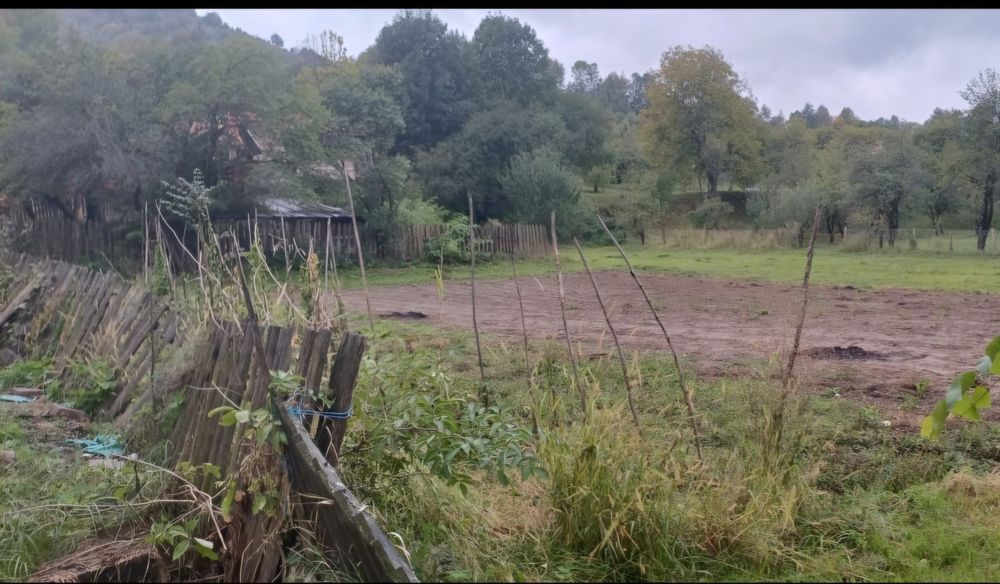 Vând teren intravilan Sinca Noua