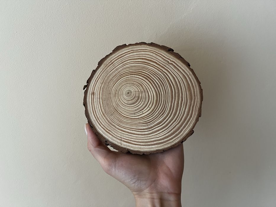 Дървени пънчета за украса