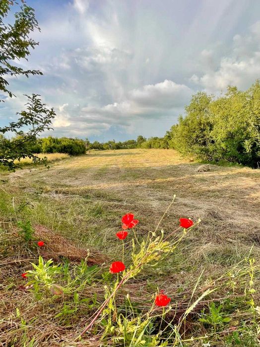 Teren intravilan 7.000 mp (5.500 mp + 1.500 mp bonus) – zonă deosebită, Mischii