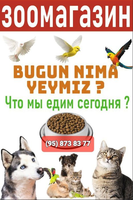 Товары для Животных