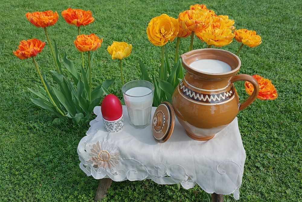 Lapte de capră  Saanen