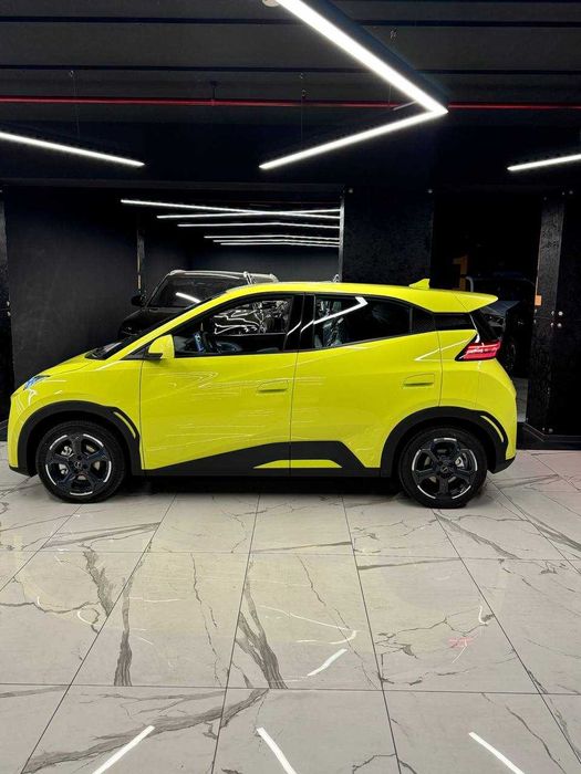 Seagull  405KM  FLYING 2024