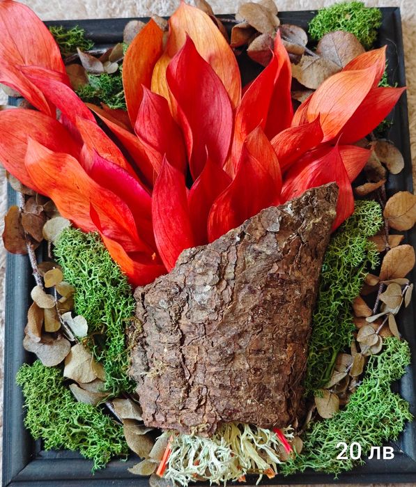 Декорации за подаръци