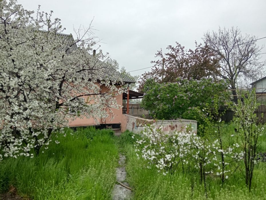 Срочно Продам дом на даче Кайнар булаке