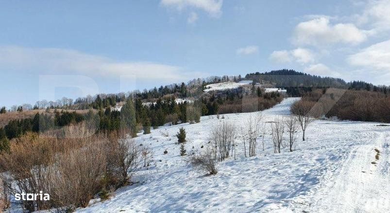 Teren de vanzare, destinatie constructii turistice, Bunloc, 7.300 mp