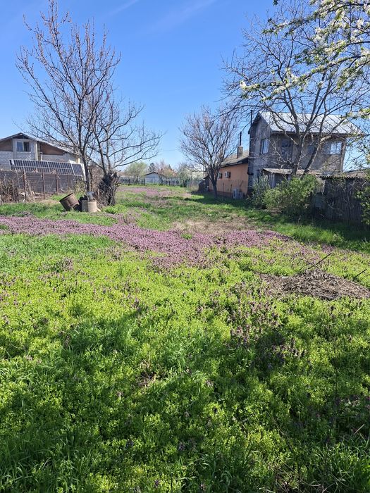 Vând teren intravilan Domnești Ilfov