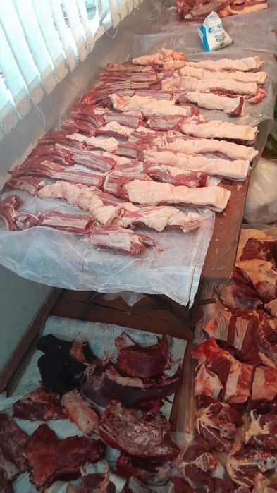 Продам мясо конины