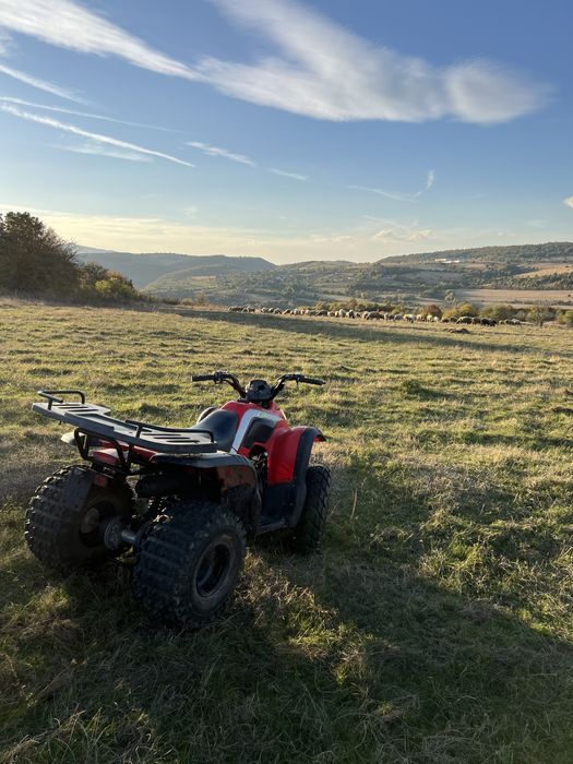Aeon  Cobra 180cc